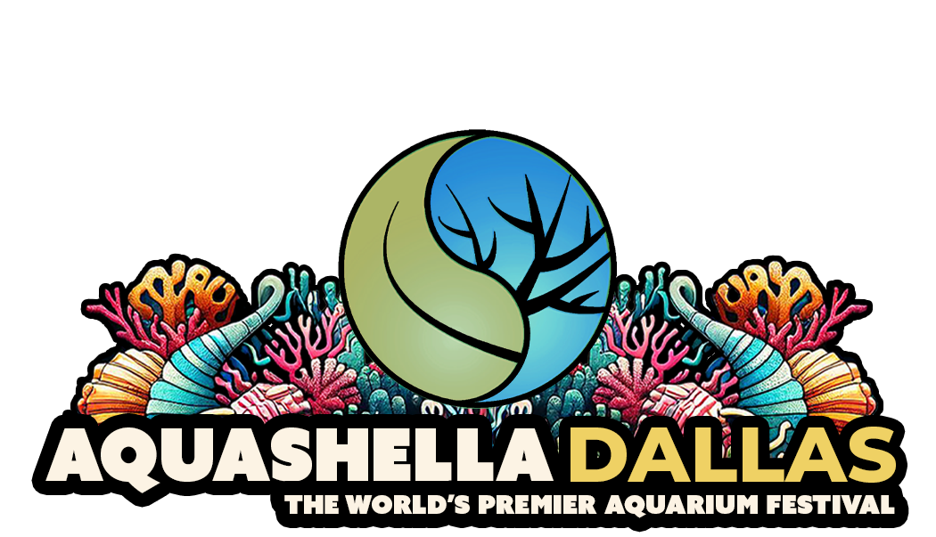 Aquashella Dallas 2024 Aquashella Ticketing